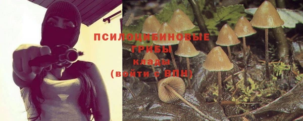тгк Алексин