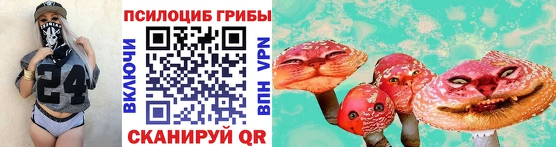 Галлюциногенные грибы Psilocybine cubensis  Гусь-Хрустальный 