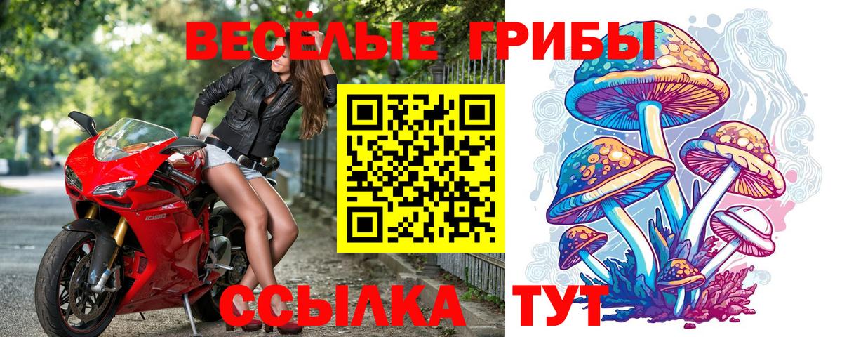 Псилоцибиновые грибы Psilocybe  Галлюциногенные грибы мухоморы  Вход с VPN  Гусь-Хрустальный 