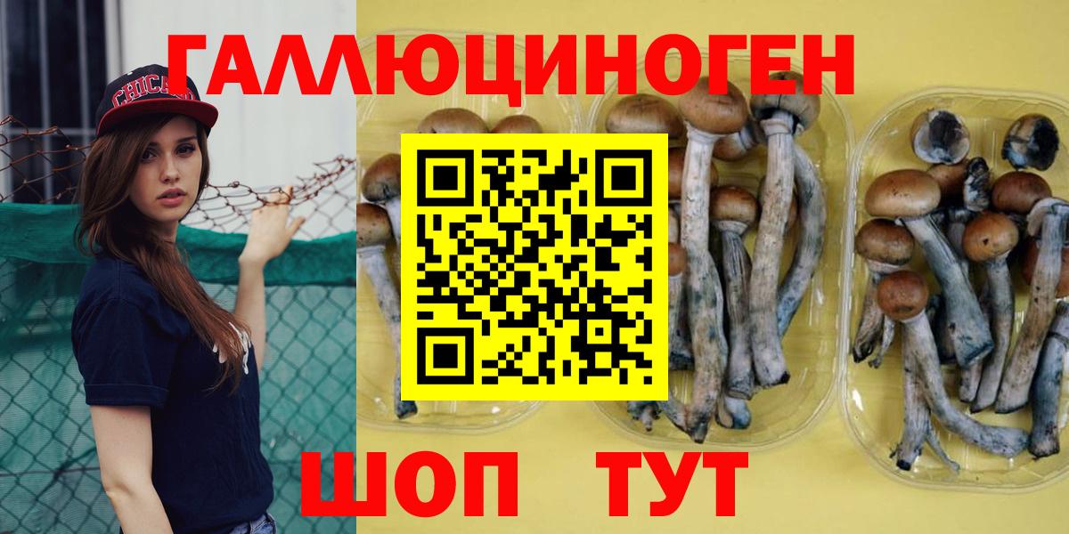 Псилоцибиновые грибы мухоморы Гусь-Хрустальный